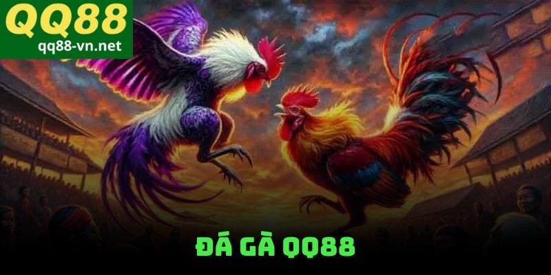 đá gà QQ88